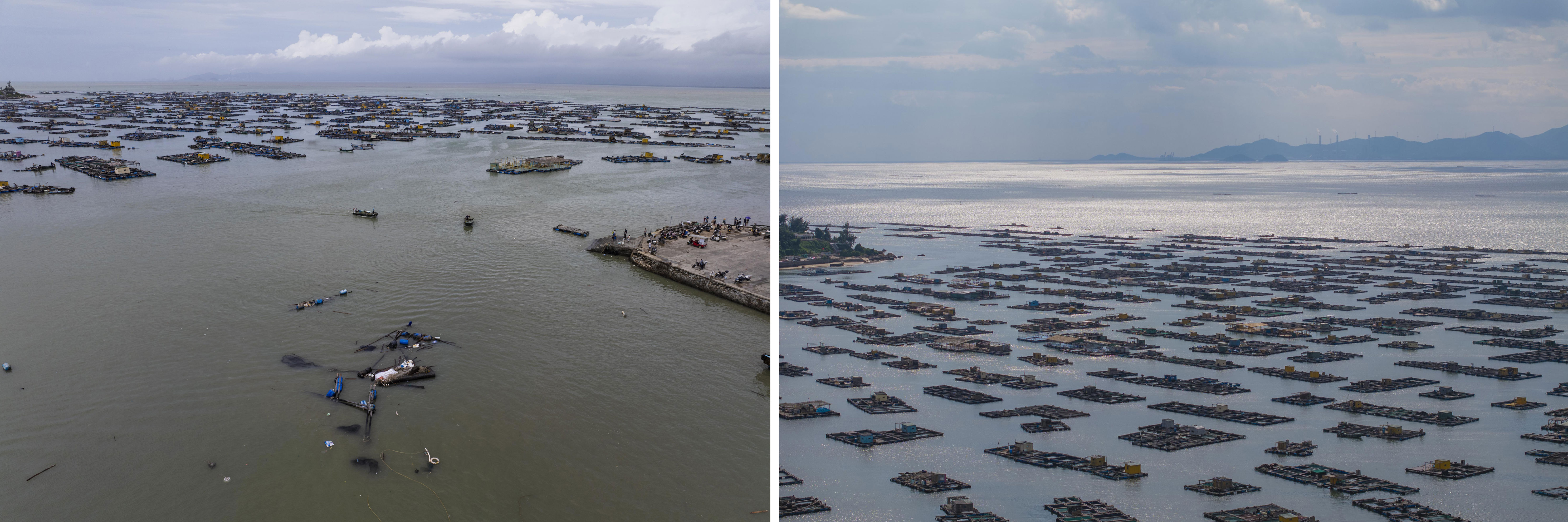 风所剩无几 风所剩无几