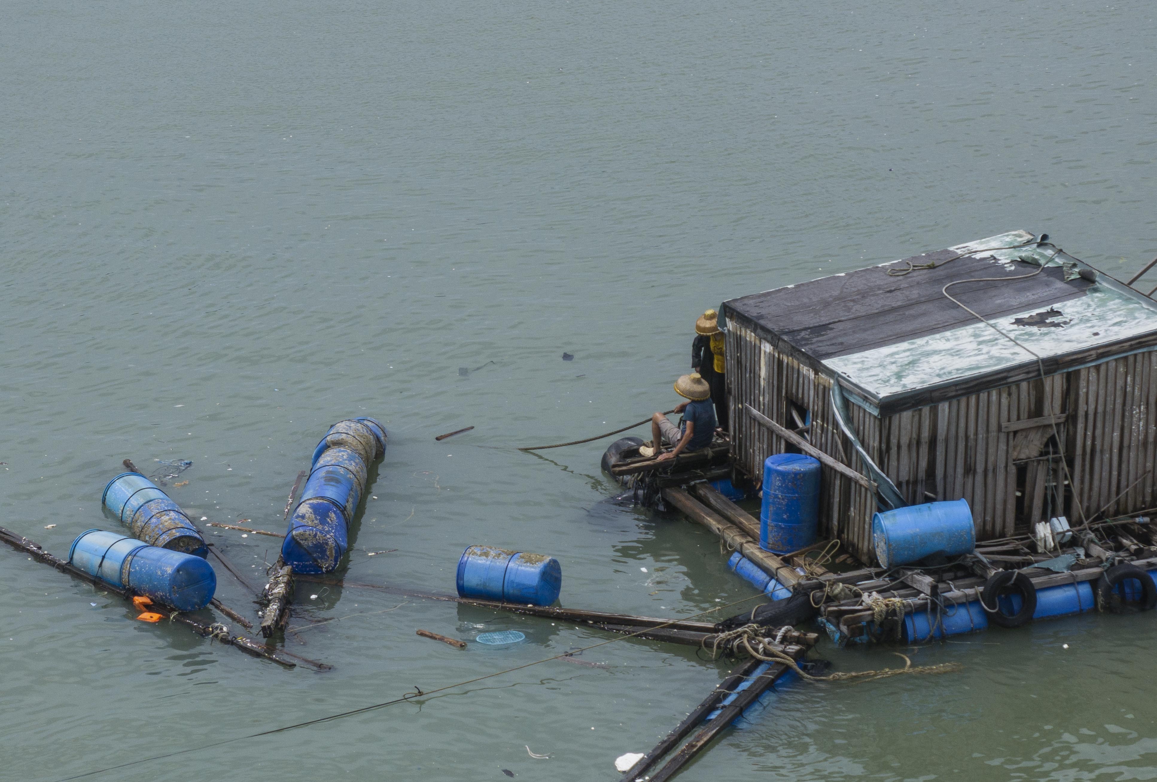 作十年, 渔排则因为, img 作十年, 渔排则因为, img