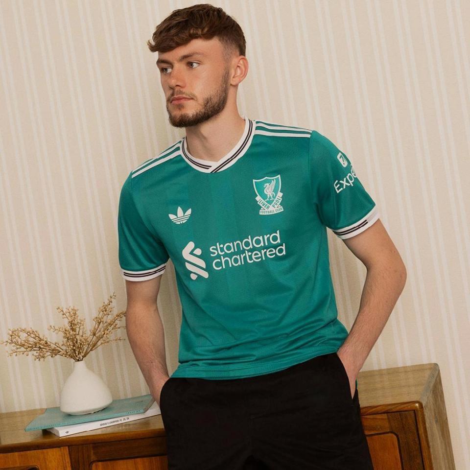 海青色, 年的回归是, saYd