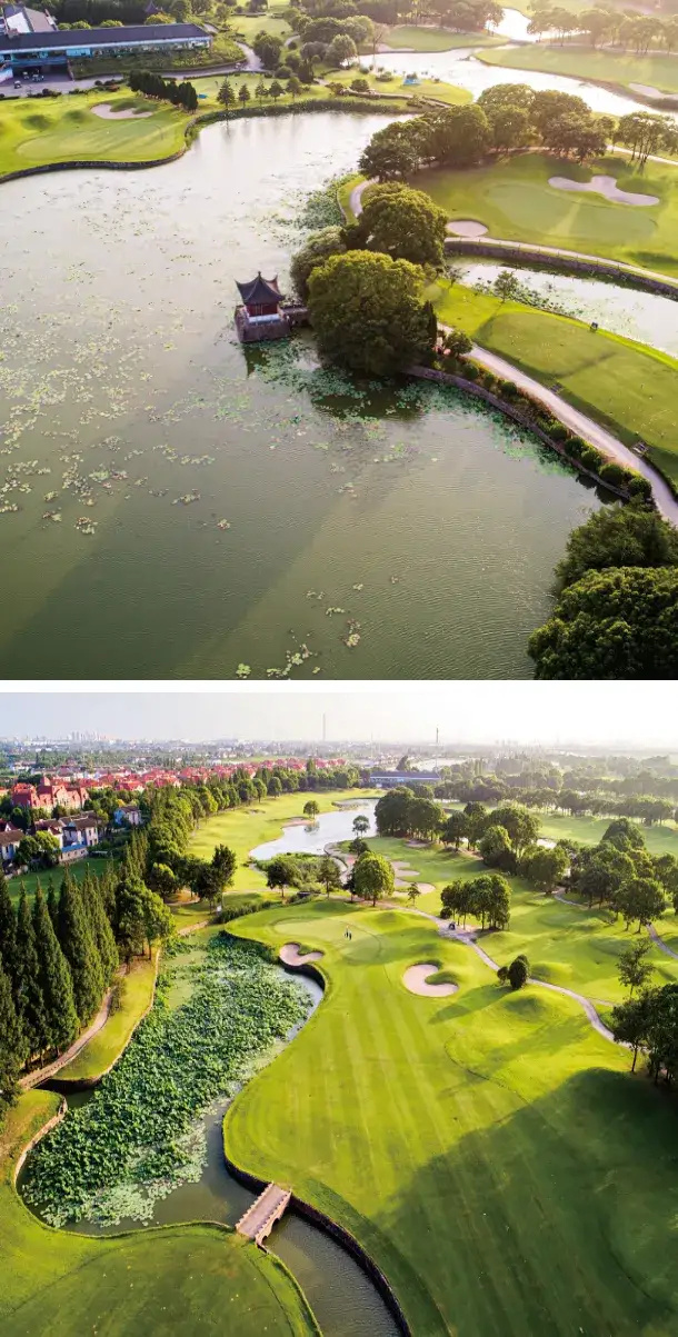 看看那些年, 使球场能供